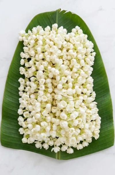 Artificial Mullapoo