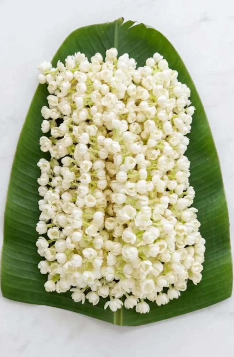 Artificial Mullapoo