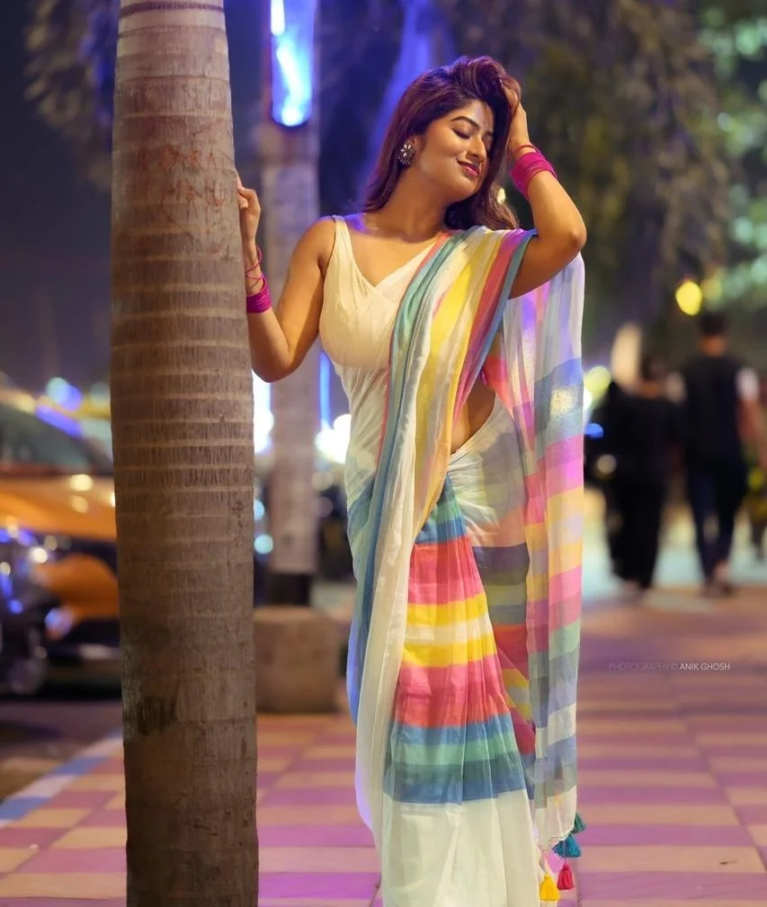 White Saree with Multicolored Stripes - Image 4